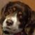 Daniel Waite's profile image