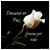 Mmonnsse Mmarress's profile image