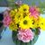 Jane Mitchell Reimers's profile image