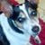 Diana Biechler's profile image