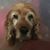 Lynn Rhodes's profile image
