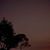 Chunnu Bahadur's profile image