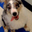Jeff R's profile image