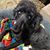 Robin Schaffter's profile image