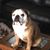 Marsha Stover Barger's profile image