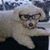Marsha Jean Camhi's profile image