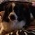 Annette Marecek's profile image