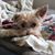 Rhonda Coffey Riley's profile image