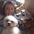 Donna Monte's profile image