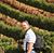James Tunnicliffe's profile image