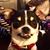 Aaron Joseph Freeman's profile image