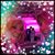 Donna Krause Johnston's profile image