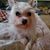 Heather McGee's profile image