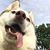 Lisa Pica Owen's profile image