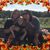 Therese Herm Grant's profile image