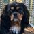 Marcia Weinzimmer Stevens's profile image