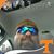 Shaun Crumley's profile image