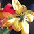 Teresa DeVault's profile image