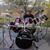 Joe Henry's profile image