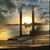 Patty Howard Minney's profile image