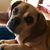 Kathy Dewey Woodworth's profile image