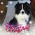 Julie Lauro's profile image