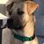 Terri Szemis's profile image