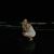Ashleigh Hull's profile image