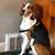 Dave Condon's profile image