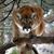 Sharon Simpson-Anderson's profile image