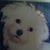 Lynne Lowden's profile image
