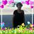 Dolores Lape's profile image
