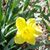 Coralyn Stransky's profile image