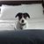 Sonseeahray Crawford's profile image