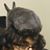 Santino Machado's profile image