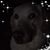 Clarissa Riedmueller's profile image