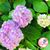 Judi McGrew's profile image