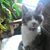 Susan Kizer's profile image