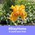 Marian Hargrove's profile image