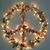 Kim Shipman's profile image