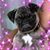 Sherri Miller MacWilliam's profile image
