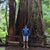 Kevin Dolson's profile image