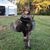 Stephanie Hodges's profile image