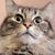 Michelle Humphrey Townsend's profile image