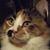 Sherri Helton Monday's profile image