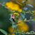 Diana Umpierre's profile image