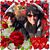 Linda Young's profile image