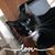 Terri Bauer-Rizzo's profile image