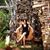Meg Marciniak's profile image