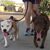 Cindy Woodrome Bruni's profile image